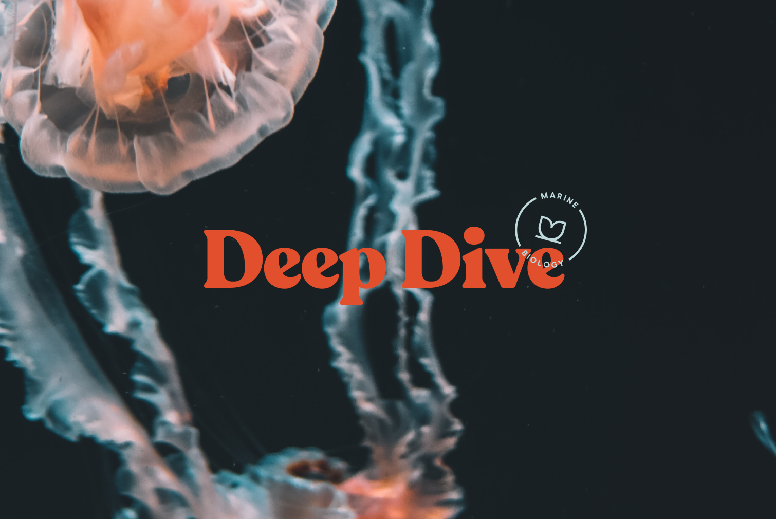 Deep Dive Journal